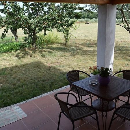 Apartment Bozana 2 Umag Zewnętrze zdjęcie